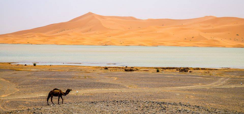 Morocco sahara desert trips